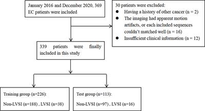 Radiomics feature as a preoperative predictive of lymphovascular invasion in early-stage endometrial cancer: A multicenter study